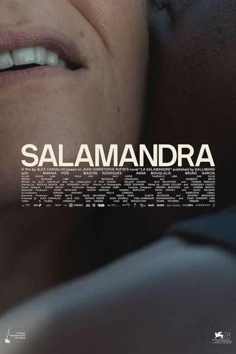 The Salamander